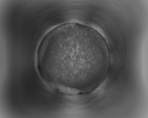 X0000089721048200707121427