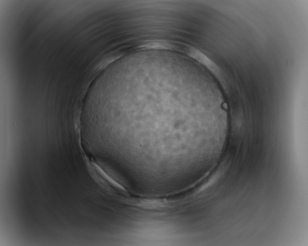 X0000089721049200707121427