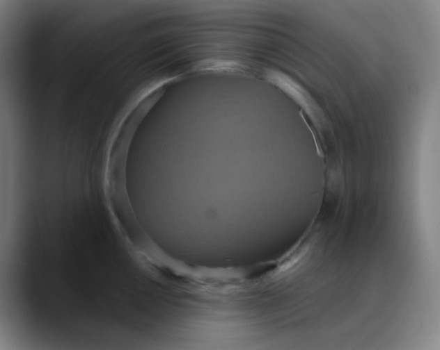 X0000089721050200707121427