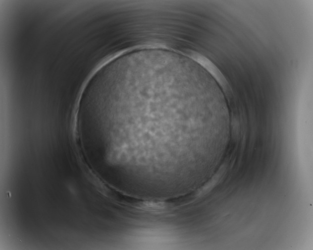 X0000089721052200707121427