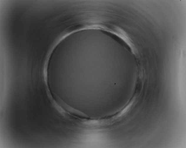 X0000089721054200707121427