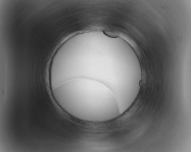 X0000089721055200707121427