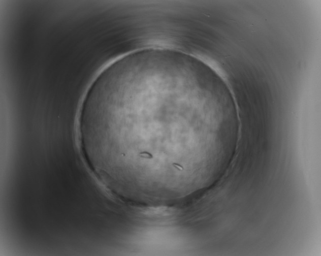 X0000089721056200707121427