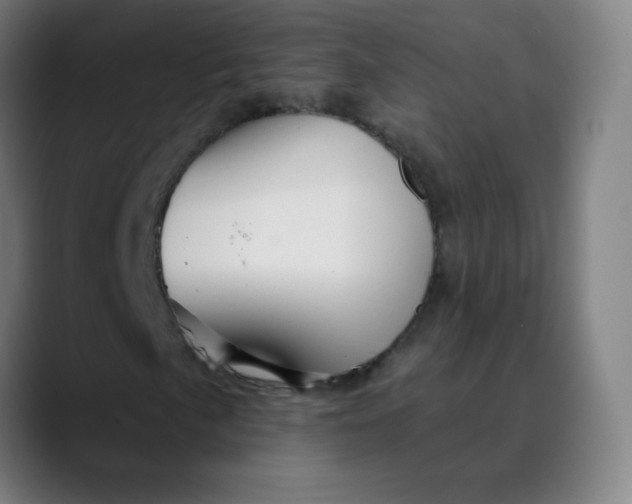 X0000089721057200707121427