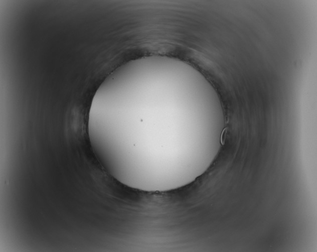 X0000089721058200707121427