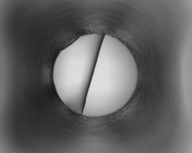 X0000089721060200707121427