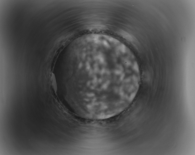 X0000089721063200707121427