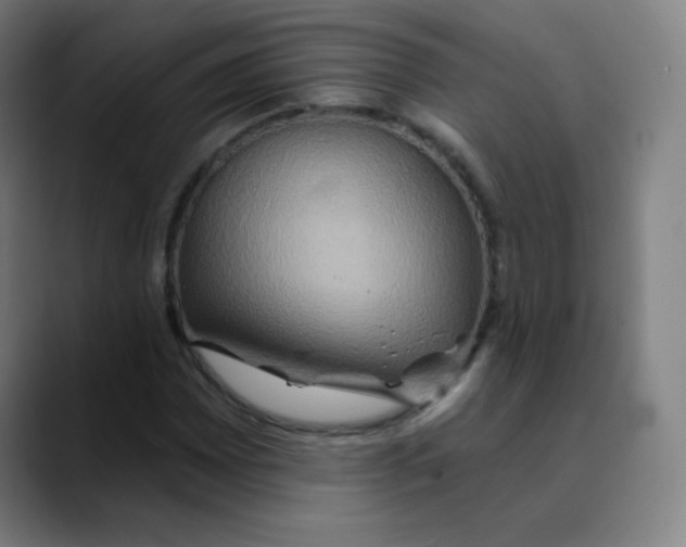 X0000089721065200707121427