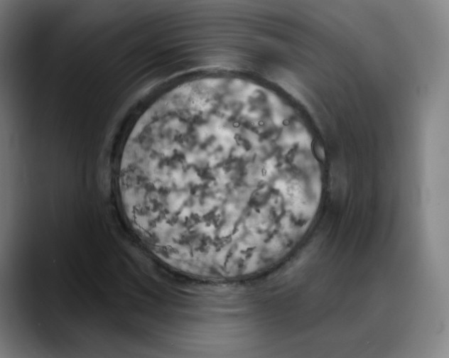 X0000089721067200707121426