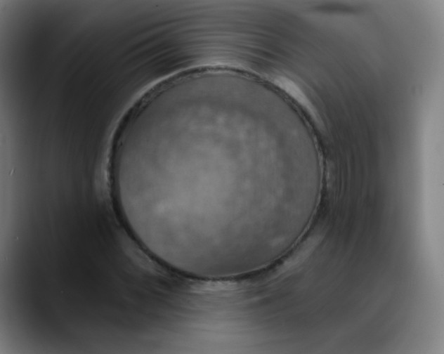 X0000089721068200707121426