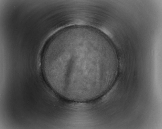 X0000089721070200707121426