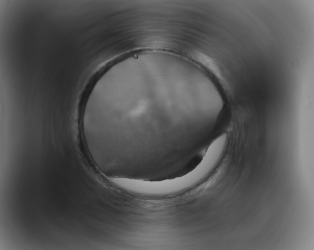 X0000089721071200707121426