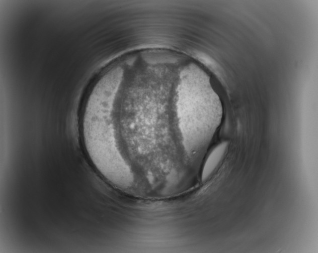 X0000089721072200707121426