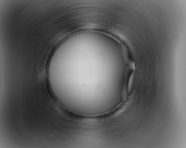 X0000089721073200707121426