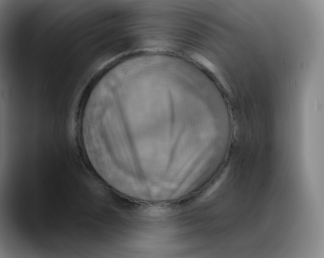 X0000089721074200707121426