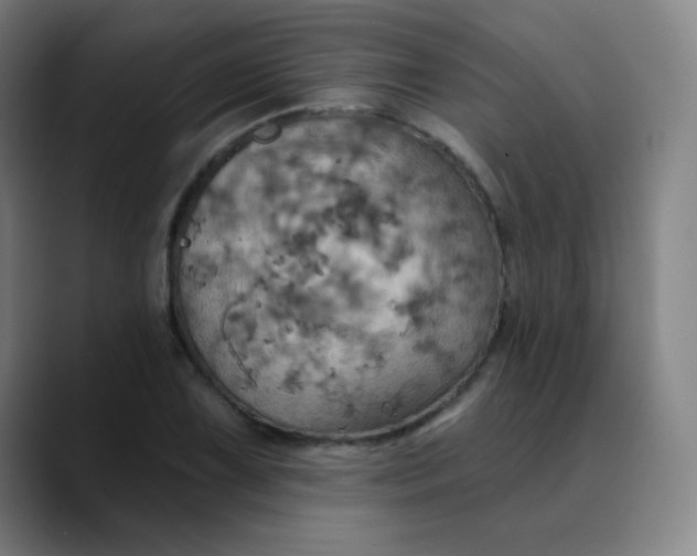 X0000089721075200707121426