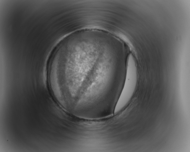 X0000089721076200707121426