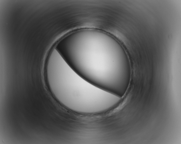 X0000089721077200707121426