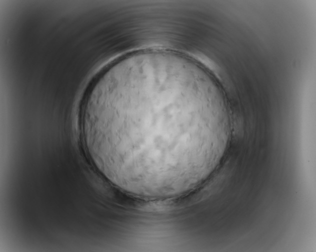 X0000089721078200707121426