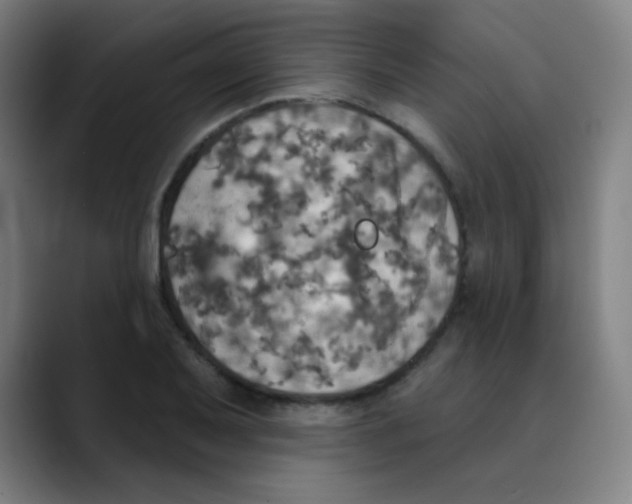 X0000089721079200707121426