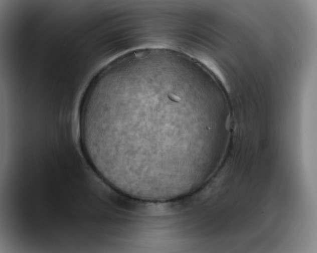 X0000089721080200707121426