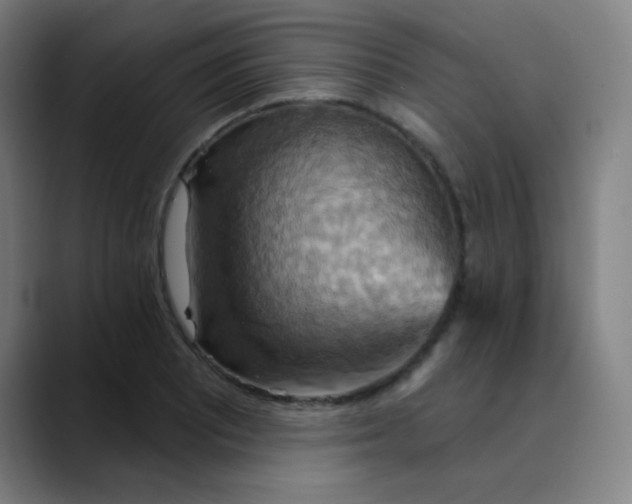 X0000089721081200707121426