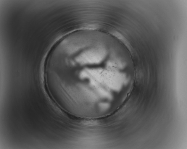 X0000089721083200707121426