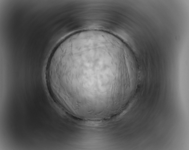 X0000089721086200707121426