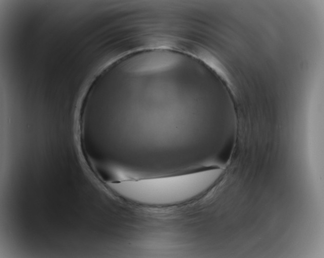 X0000089721088200707121426