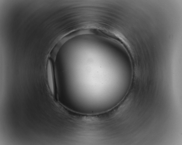 X0000089721089200707121426