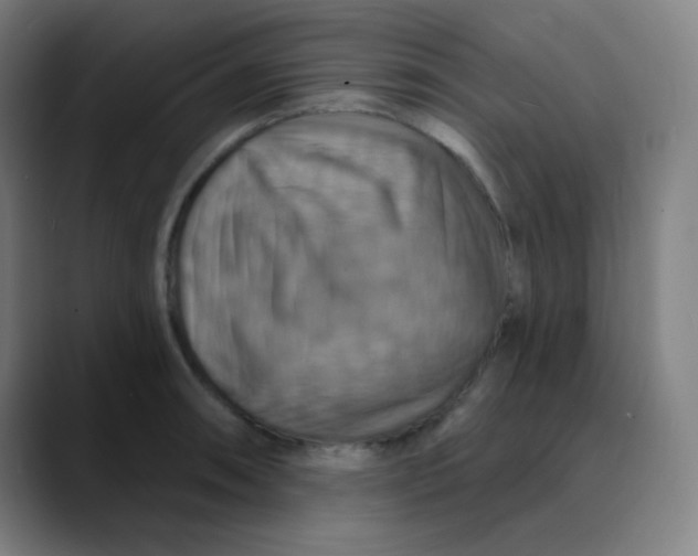 X0000089721090200707121426