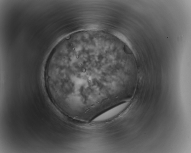 X0000089721091200707121426