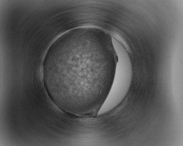 X0000089721092200707121426