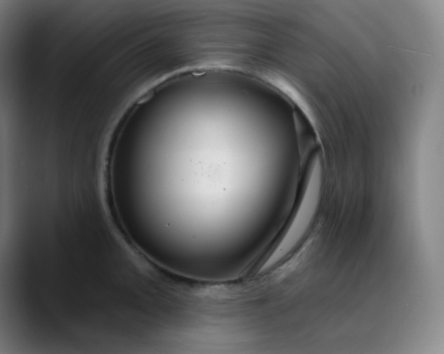 X0000089721093200707121426