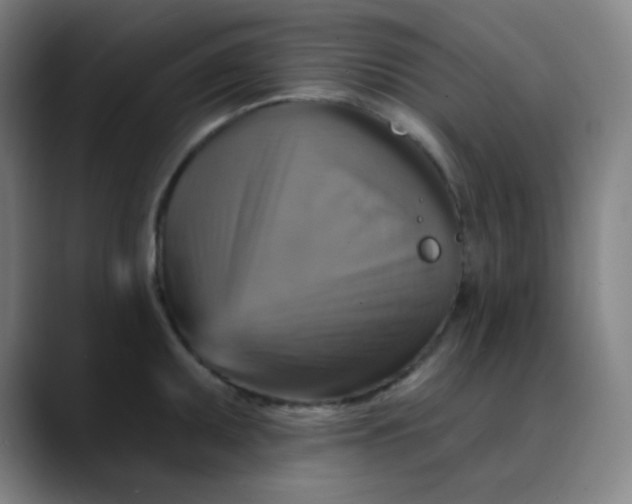 X0000089721095200707121426