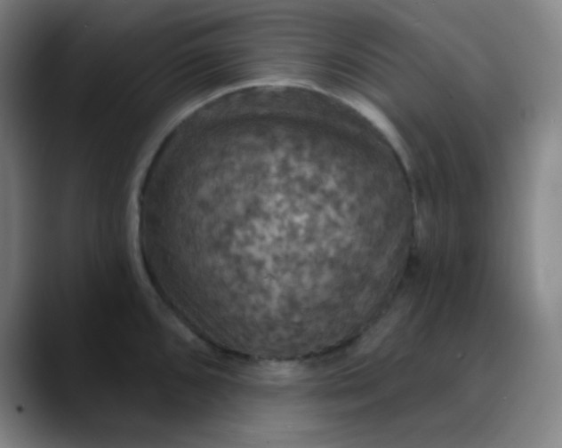 X0000089721096200707121426