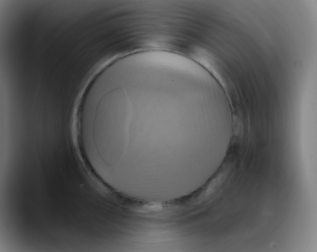 X0000089721098200707121426