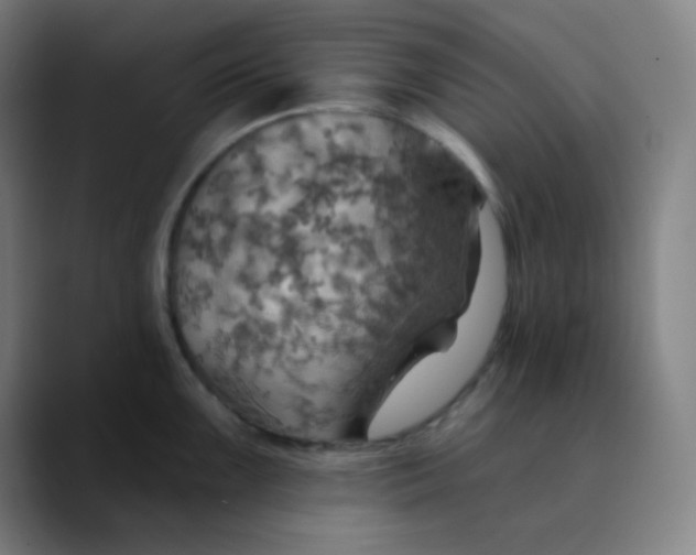 X0000089721099200707121426