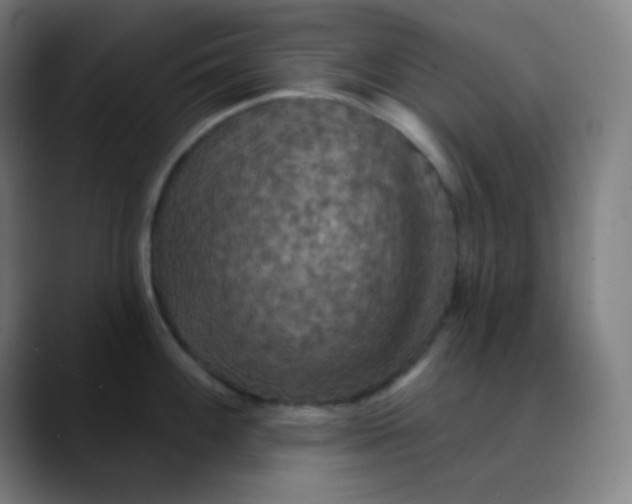 X0000089721100200707121426