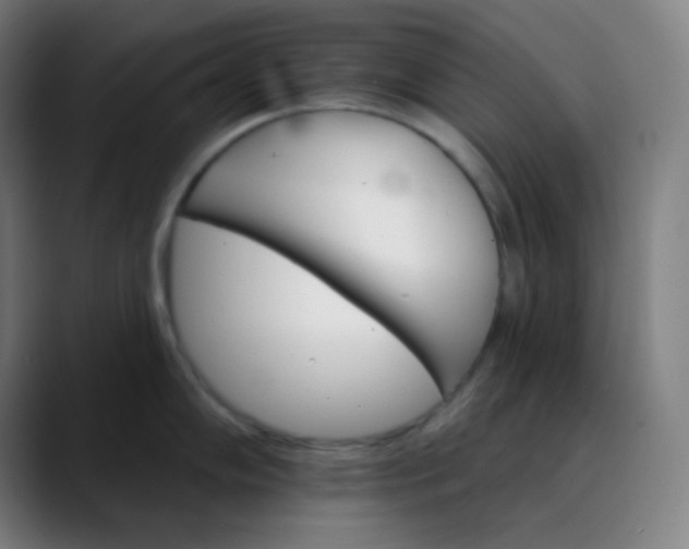 X0000089721102200707121426