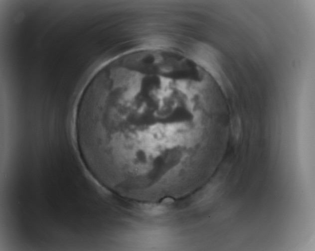 X0000089721103200707121426