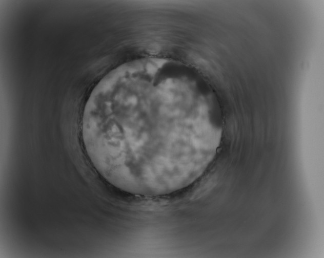 X0000089721105200707121425