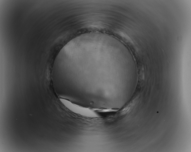 X0000089721110200707121426