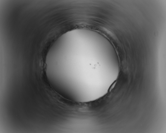 X0000089721111200707121426