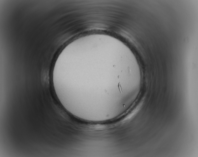 X0000089721113200707121426