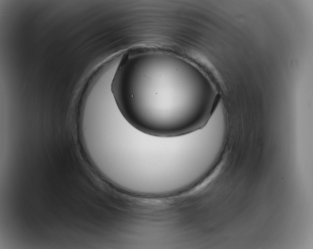 X0000089721114200707121426