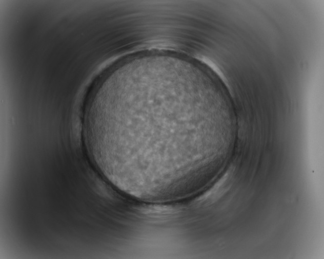 X0000089721115200707121426