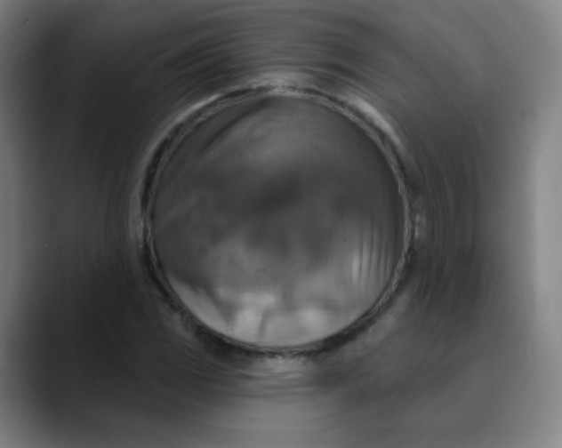 X0000089721117200707121426