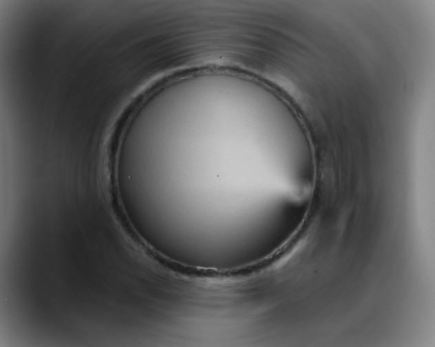 X0000089721118200707121426