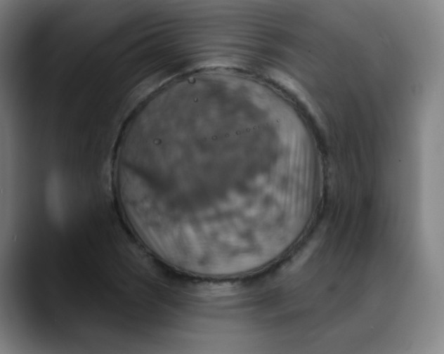 X0000089721121200707121426